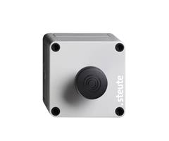 69169101 Steute   